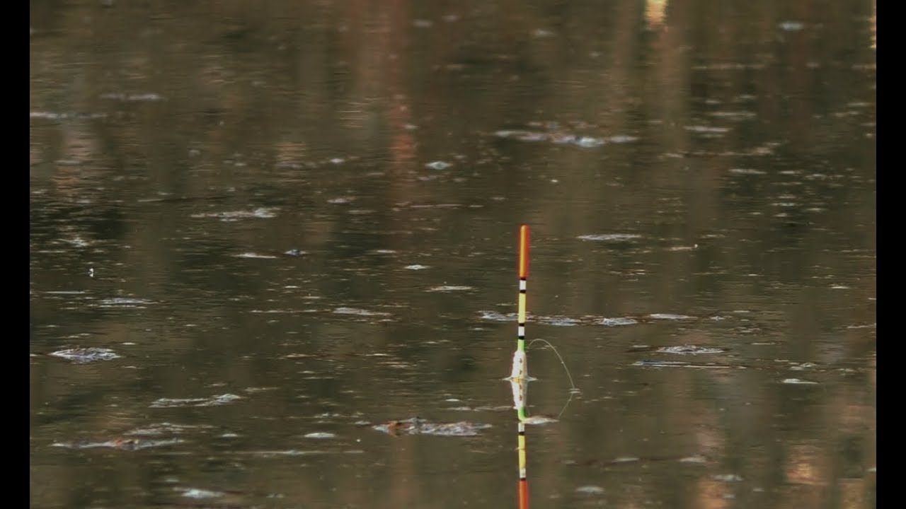 Рыбалка на карася весной на поплавочную. Рыбалка с сыном на поплавок от первого лица фэнтези.