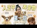 家里添加新成员啦！为什么一次过养两只？｜养宠物的心得