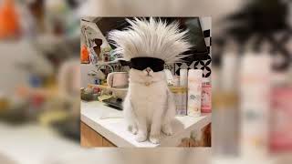 Sped Up Edit Audios Pt.12