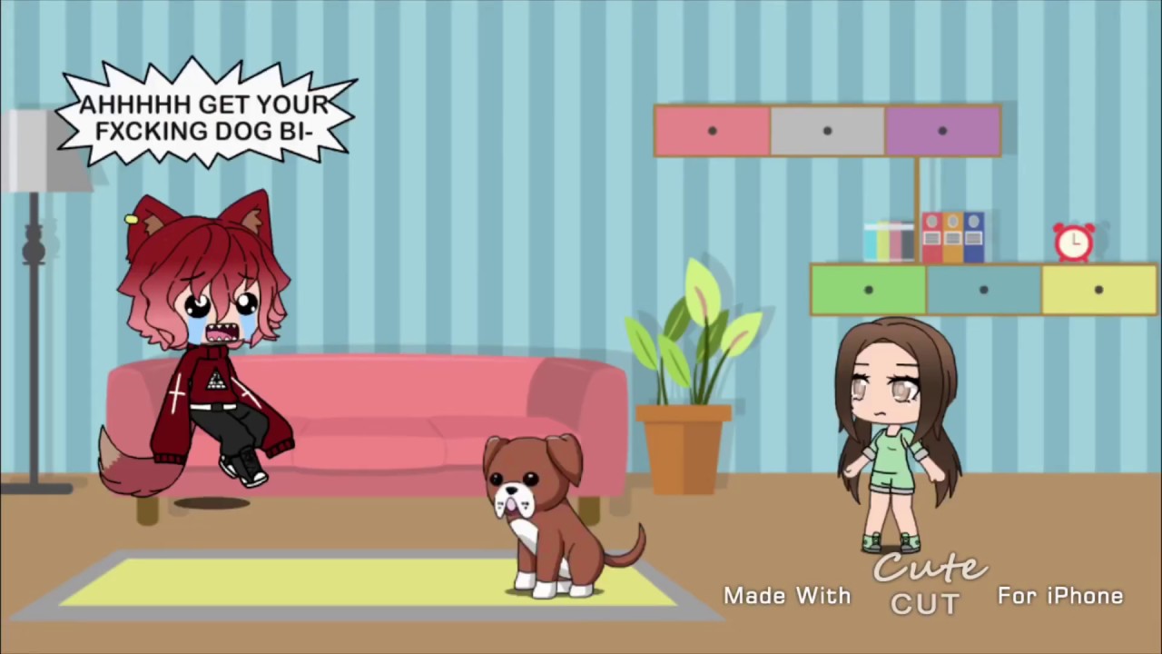 Get Your Dog // From Vine OO YouTube