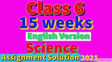 15 weeks class 6 Science English version  Assignment Solution 2021