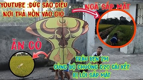 Test Diều 2m Trâu Bẹn Cùng Bộ Sáo Chuông D20 Và Cái Kết Ngã Sấp Mặt