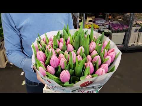 Video: Je význam růžových tulipánů?