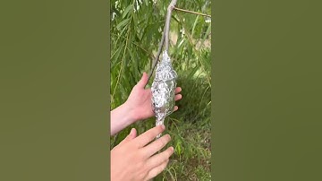 Getting Trees for FREE