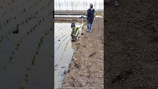 Nowadays People Are Sowing Crops In Different Ways