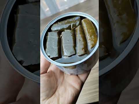 اسوأ واغلى ورق عنب جربته