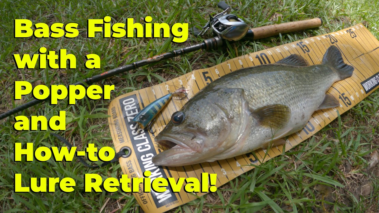 Bass Fishing with a Popper and Howto Lure Retrieval from Shore with