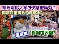 【華哥好閒情】華哥送給大家的快樂聖誕短片！／狗狗也眾籌／跟尾猫／開酒瓶聖誕歌你聽過未?／外傭在港如何過聖誕?