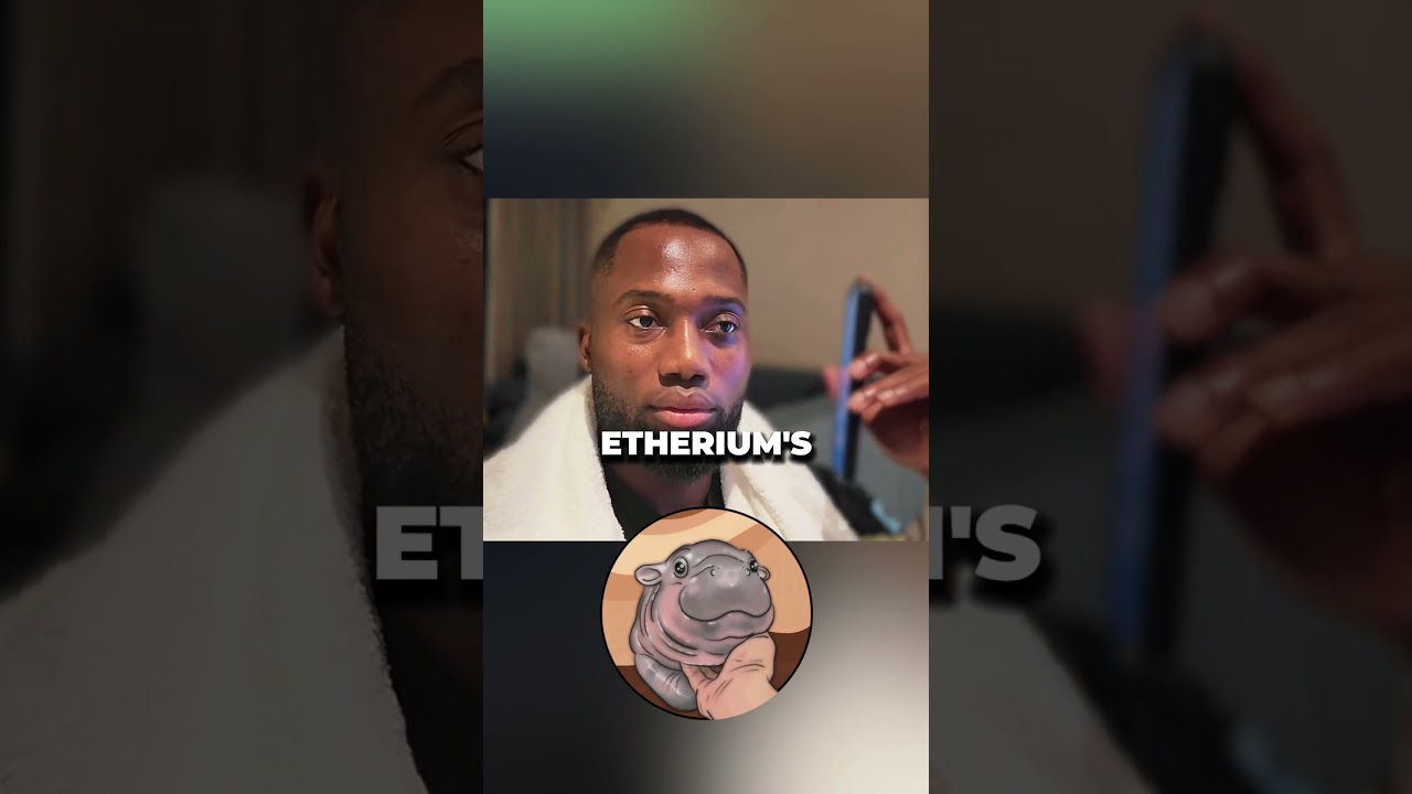 Шок: спросил ИИ, принесет ли Му Дэн деньги на SOL или ETH в этом бычьем забеге