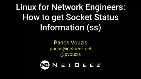 How to get Socket Status Information (ss)
