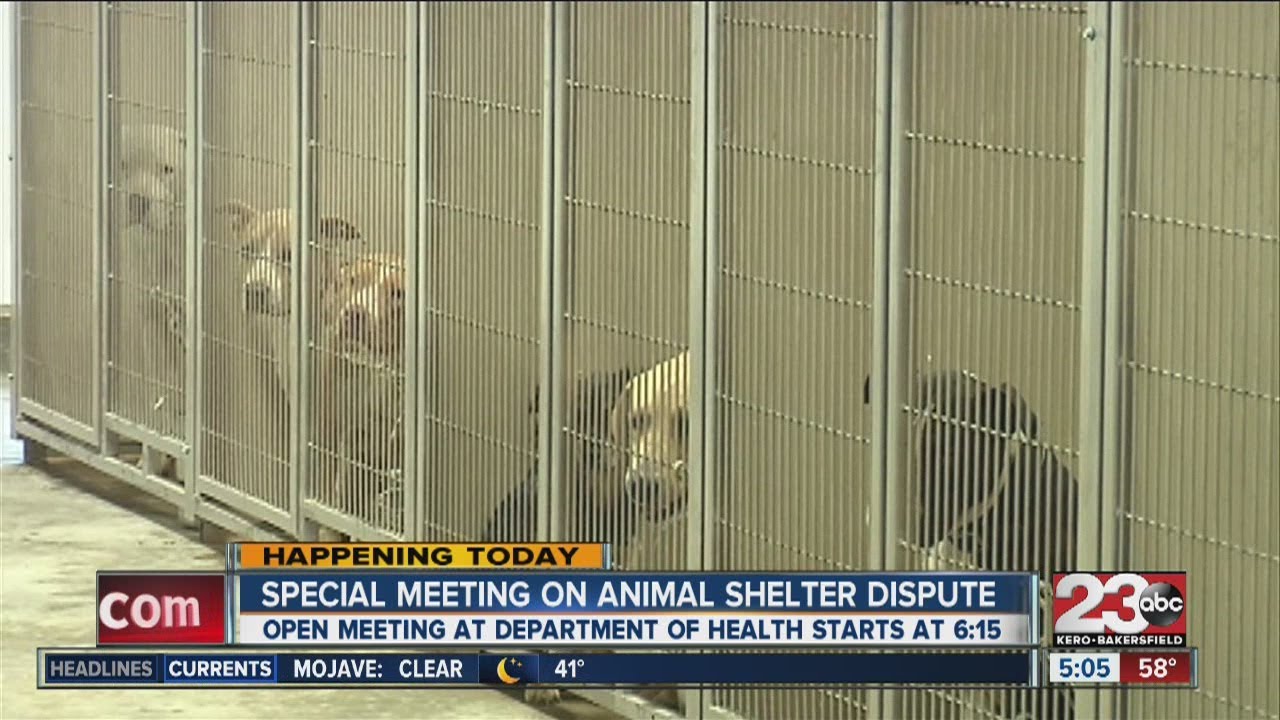 Kern County Animal Services Commission meeting Wednesday night - YouTube