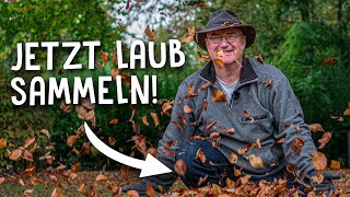 Das Richtige Laub Für Fruchtbaren Boden Im Garten - Tipp Für Den Herbst