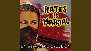 ¿Que Quant Vols Viure Tu?