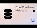 The WordPress database