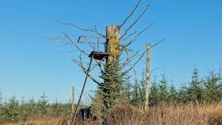 Ayr & District Rambling Club, Straiton To Loch Spallander, Nov 21St 2021