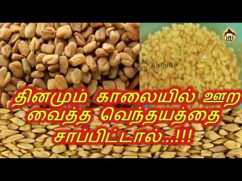 தினமும் காலையில் ஊற வைத்த வெந்தயத்தை சாப்பிட்டால்