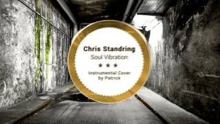 Miniatura de vídeo de "Chris Standring - Soul Vibration ( Instrumental )"