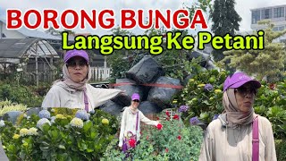 Always Go Crazy When Shopping for Flowers in Batu City, They're Really Cheap, Direct from the Far...