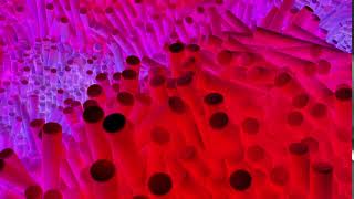 Shape Dynamics test C4D