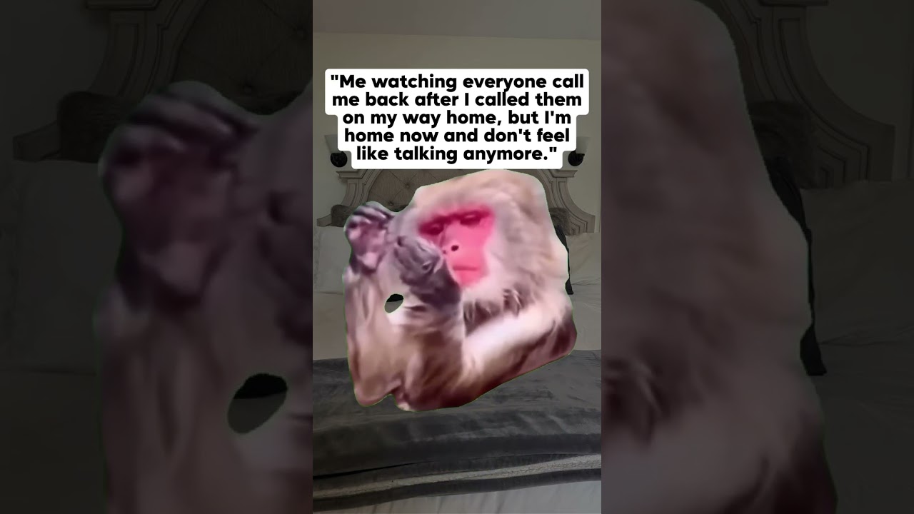 the audacity of people calling me back because i called them first