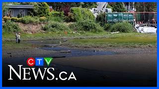 'Do not flush toilets' - Sewer emergency in Vancouver Island region