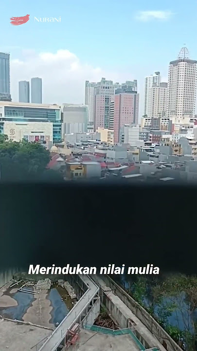 Netral - Nurani #ntrl #storywa