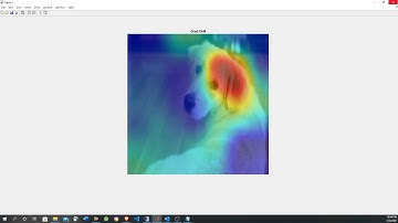 Deep Learning CNN visualization in MATLAB using occlusion sensitivity and Grad-CAM