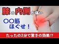 膝の内側の痛みを治すならここをほぐせ！立った１分で劇的改善！