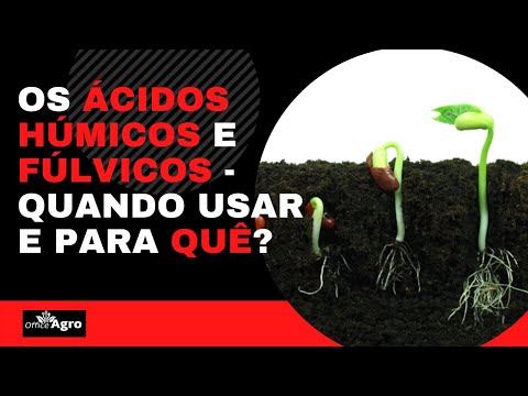 Vídeo: Diferença Entre ácido Húmico E ácido Fúlvico