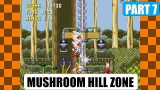 Sonic Marathon-Sonic The Hedgehog 3 & Knuckles! Part 7 HYPERACTIVE