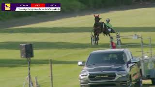Vidéo de la course PMU VAANDRAGER PARTICIPATIE-TO TEC INSTALLATIE TECHNIEK PRIJS