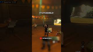 How I Carried a Torch Across the ENTIRE Map in TotK