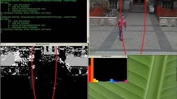 CAMSHIFT Demo