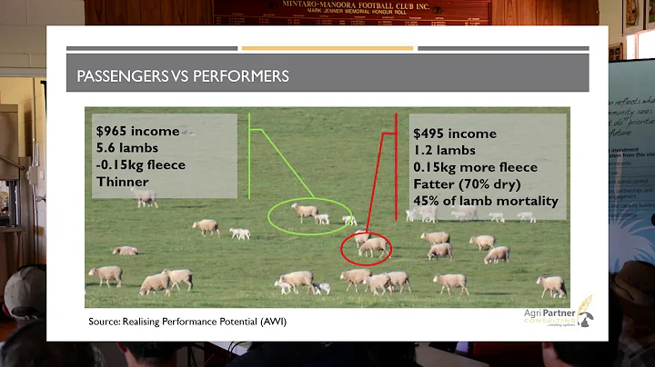 Strong Sheep, Strong Business Presentations: Hamis...