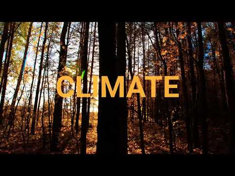 Video: Kokie gyvūnai gyvena vidutinio klimato kontinentiniame klimate?