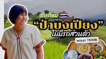 🇹🇭 เที่ยวเชียงใหม่ ไม่มีรถส่วนตัว ที่ ป่าบงเปียง นอนโฮมสเตย์ วิวนาขั้นบันได งบคนละ 700 บาท