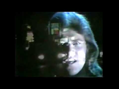 Megamix Bee Gees