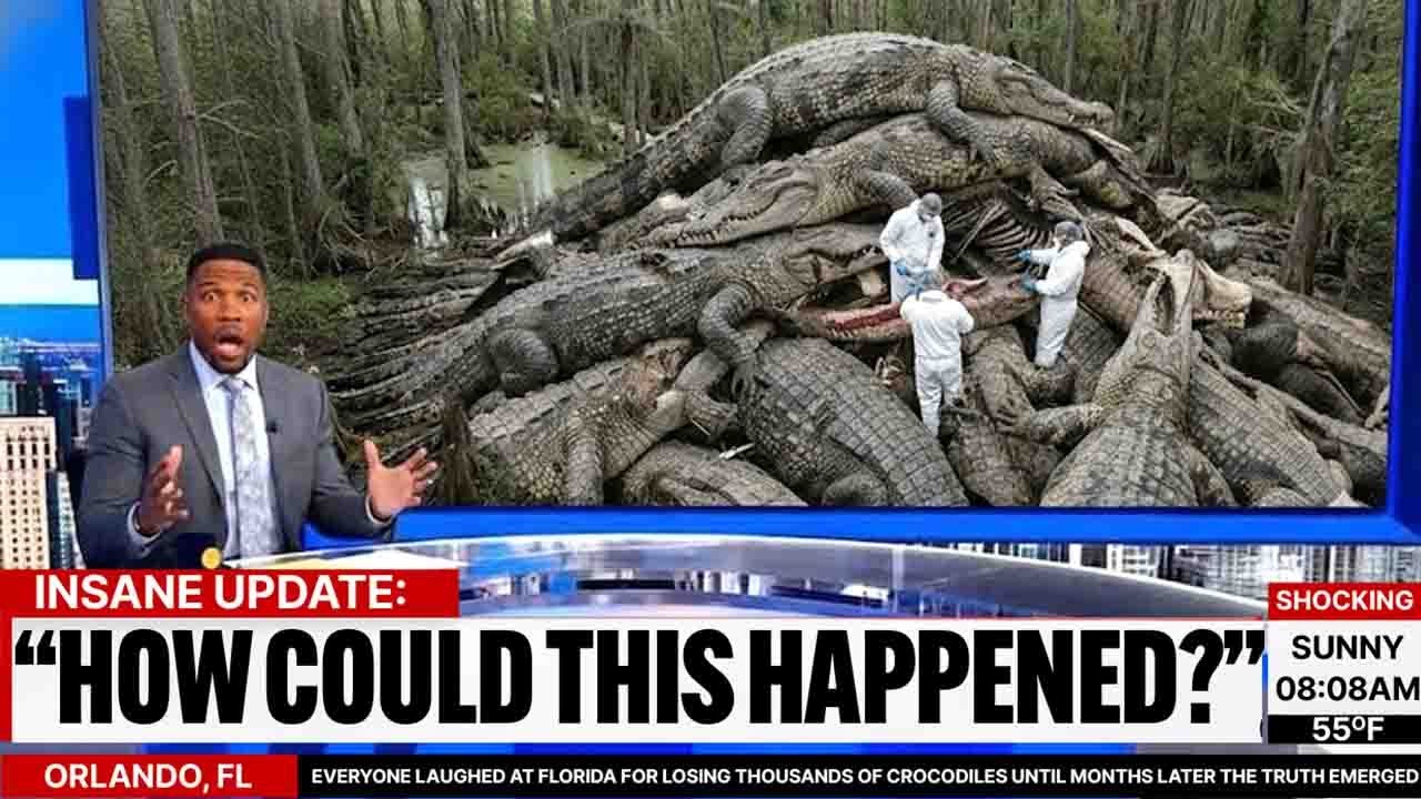 Everyone Laughed at Florida for Losing THOUSANDS of Crocodiles Until Months Later the Truth Emerged