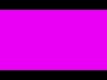 1 Hour of Light Neon Pink Screen