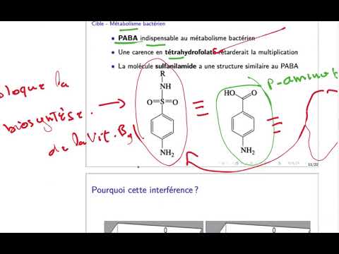 Vidéo: Qu'est-ce que les sulfamides inhibent ?