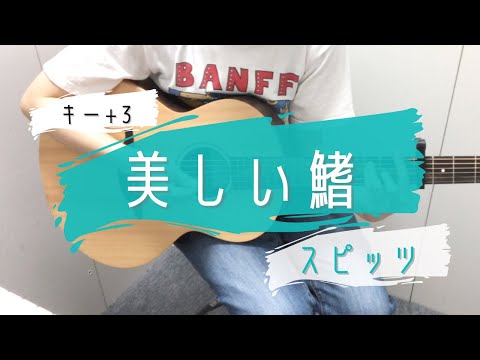 美しい鰭/スピッツ　ギター弾き語り　歌詞コード付き　女性キー+3