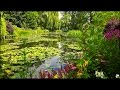 Jardins de Monet, Giverny France