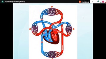 DL2 LT: Thuốc trị suy tim và đau thắt ngực