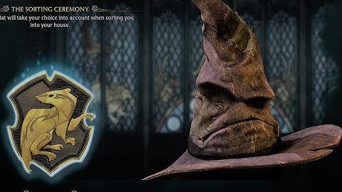 Sorting Hat - Hogwarts Legacy   Part 3
