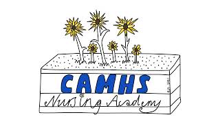 Introduction to the CAMHS Nursing Academy Introduction to the CAMHS Nursing Academy