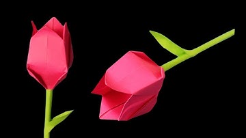 How to make an easy paper tulip 🌷 Paper flowers