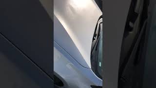 2019 Toyota Corolla LE Walkaround