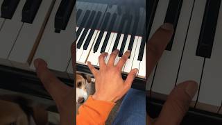 Lazy Left Hand #shorts #piano #tutorial