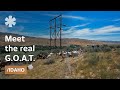 Idaho goat herder rotates goats for alternative weed control