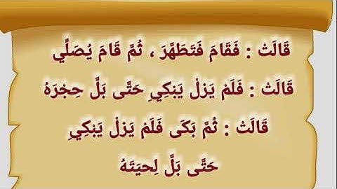 (١٩٣)ويلٌ لمن قرأها ولم يتفكر فيها....آواخر سورة آل عمران؟ ؟